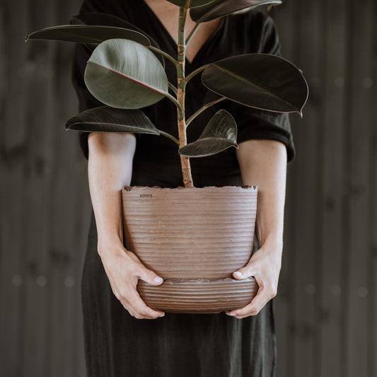 Plant pot with saucer XXL · SOIL