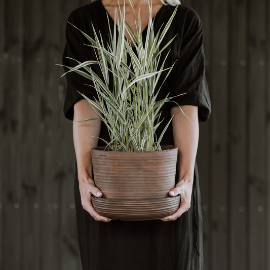 Plant pot with saucer XL · SOIL