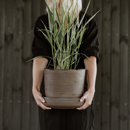 Plant pot with saucer L · SOIL