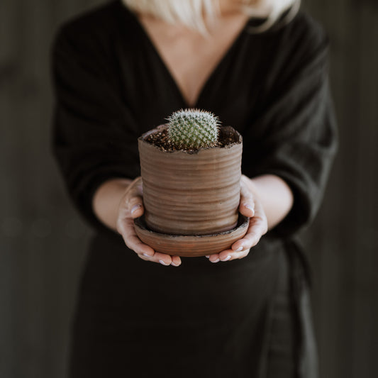 Plant pot with saucer S · SOIL