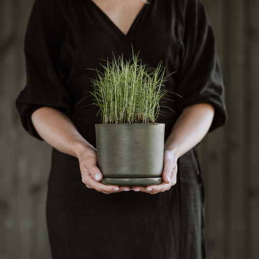 Plant pot with saucer S · Moss