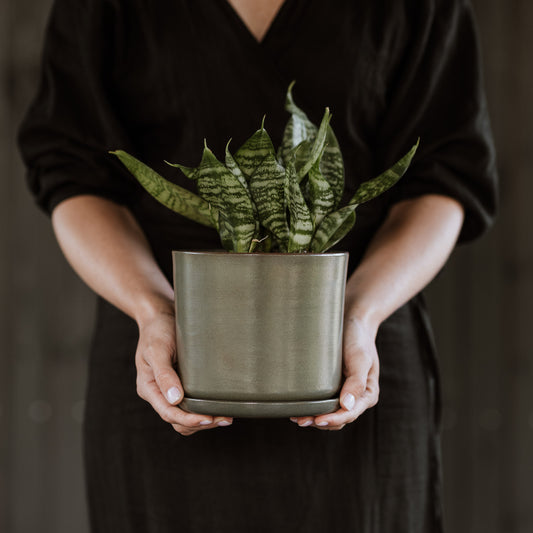 Plant pot with saucer M · Moss