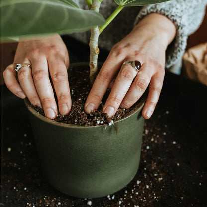 Plant pot with saucer M · Moss