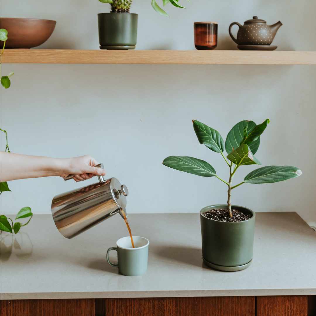 hay plant pot with saucer Plant pot with saucer S · Moss – VAIDAVA CERAMICS