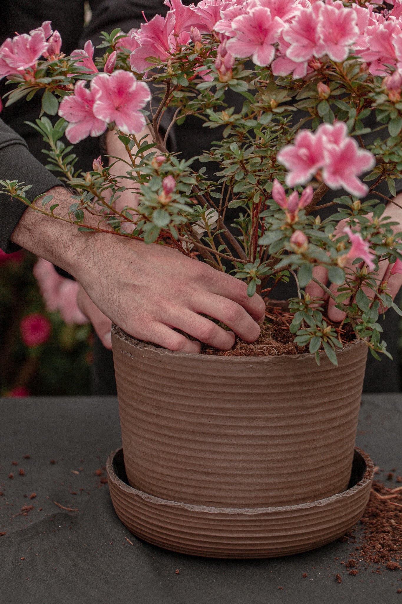 Plant pot with saucer L · SOIL