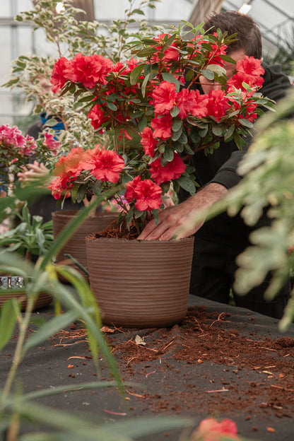 Plant pot with saucer XXL · SOIL