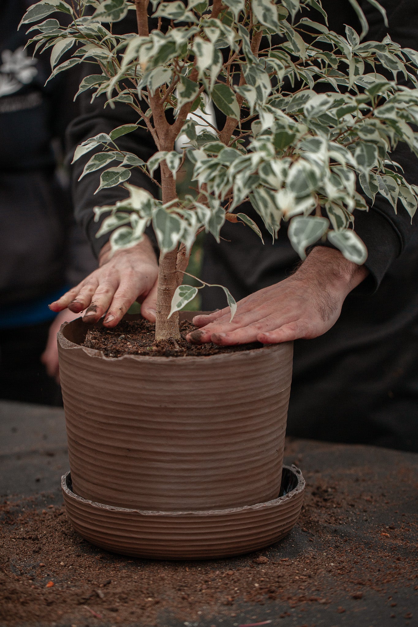 xl plant pot Plant pot with saucer XL · SOIL – VAIDAVA CERAMICS
