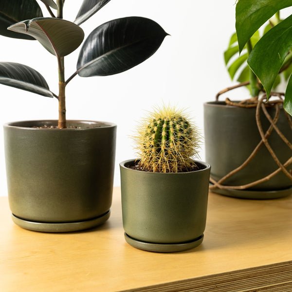 Plant pot with saucer S · Moss